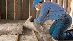 Best Eco-Friendly or Green Insulation Solutions  in Lihue, HI